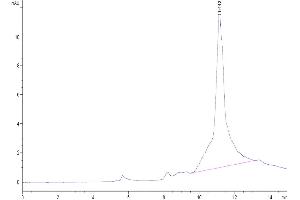 Size-exclusion chromatography-High Pressure Liquid Chromatography (SEC-HPLC) image for WAP Four-Disulfide Core Domain 1 (WFDC1) (AA 24-211) protein (His tag) (ABIN7275484)