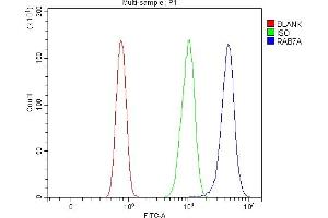 Flow Cytometry analysis of RH35 cells using anti-RAB7/RAB7A antibody (ABIN7600597).