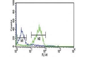Flow Cytometry (FACS) image for anti-Wingless-Type MMTV Integration Site Family, Member 1 (WNT1) (AA 260-288) antibody (ABIN3029624)