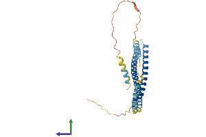 Protein Structure (PS) image for Charged Multivesicular Body Protein 4C (CHMP4C) (AA 1-233) protein (His tag) (ABIN7553431)