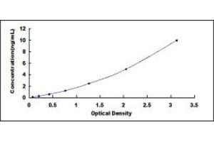 Typical standard curve (SCAND3 ELISA Kit)