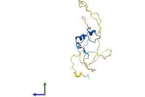 Protein Structure (PS) image for CXXC Finger Protein 4 (CXXC4) (AA 1-198) protein (His tag) (ABIN7557965)