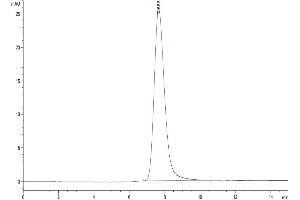 The purity of Rhesus macaque LILRB1 is greater than 95 % as determined by SEC-HPLC. (LILRB1 Protein (AA 17-456) (Fc Tag))