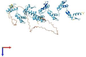 Protein Structure (PS) image for Zinc Finger Protein 823 (ZNF823) (AA 1-610) protein (His tag) (ABIN7545361)