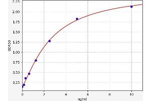 Endothelin-1 Receptor ELISA Kit