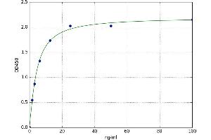 A typical standard curve