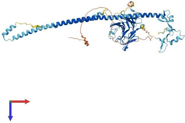 TRIM16 Protein (AA 1-556) (His tag)