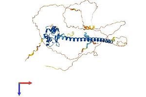 HSF4 Protein (AA 1-492) (His tag)