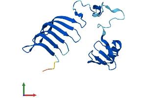 Protein Structure (PS) image for MORN Repeat Containing 5 (MORN5) (AA 1-161) protein (His tag) (ABIN7549525)