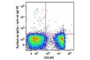 Flow Cytometry (FACS) image for anti-CD6 (CD6) antibody (ABIN2664783) (CD6 Antikörper)