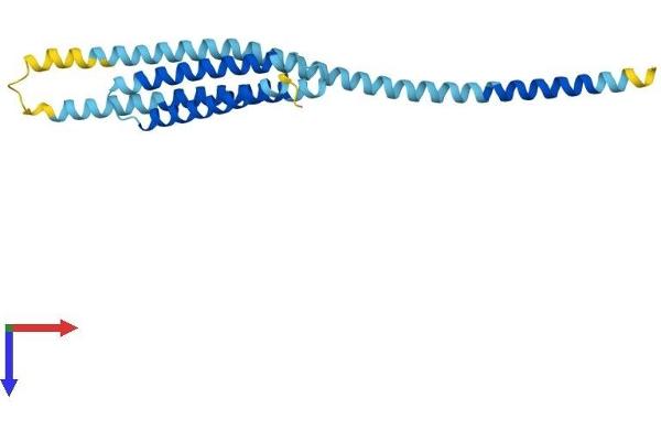 BNIP1 Protein (AA 1-228) (His tag)