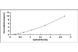 OAS3 ELISA Kit