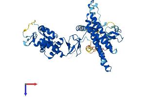ARIH2 Protein (AA 1-493) (His tag)