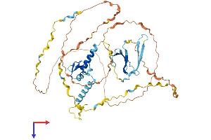 SF3A2 Protein (AA 1-475) (His tag)