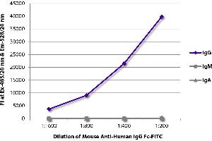 FLISA plate was coated with purified human IgG, IgM, and IgA. (Maus anti-Human IgG (Fc Region) Antikörper (FITC))