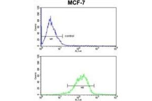 Flow Cytometry (FACS) image for anti-RNA Binding Motif Protein 3 (RBM3) antibody (ABIN3003187) (RBM3 Antikörper)