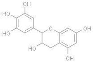 Epigallocatechin (Epigallocatechin)