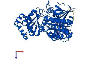Phosphoglucomutase 3 Protein (PGM3) (AA 1-542) (His tag)