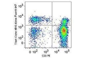 Flow Cytometry (FACS) image for anti-T-Bet antibody (Alexa Fluor 647) (ABIN2664024) (T-Bet Antikörper  (Alexa Fluor 647))