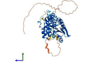 AlphaFold protein structure predicition of Mouse Recombinant Dusp4 Protein, UniprotID Q8BFV3