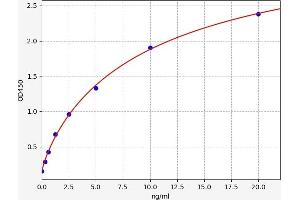 Typical standard curve