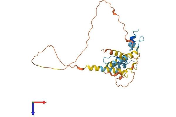 KLF6 Protein (AA 1-283) (His tag)