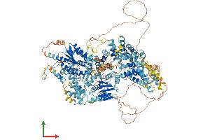 AlphaFold protein structure predicition of Human Recombinant TTC41P Protein, UniprotID Q6P2S7 (Ttc41/Gnn Protein (AA 1-1318) (His tag))