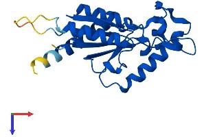 NMRK1 Protein (AA 1-199) (His tag)