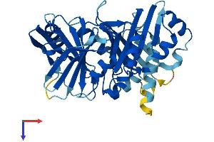 HPDL Protein (AA 1-371) (His tag)