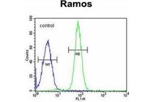 Flow Cytometry (FACS) image for anti-Guanylate Cyclase 2D, Membrane (Retina-Specific) (GUCY2D) (AA 547-578), (Middle Region) antibody (ABIN952663)