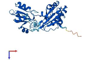 DPH5 Protein (AA 1-281) (His tag)