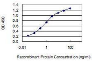 Detection limit for recombinant GST tagged NPFF is 0. (Neuropeptide FF Antikörper  (AA 1-116))
