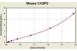 Diagramm of the ELISA kit to detect Mouse CASP8with the optical density on the x-axis and the concentration on the y-axis.