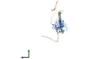 AlphaFold protein structure predicition of Mouse Recombinant Pcyt1a Protein, UniprotID P49586