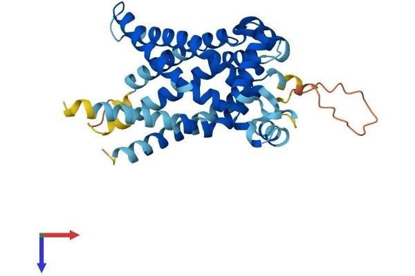 SLC25A33 Protein (AA 1-320) (His tag)