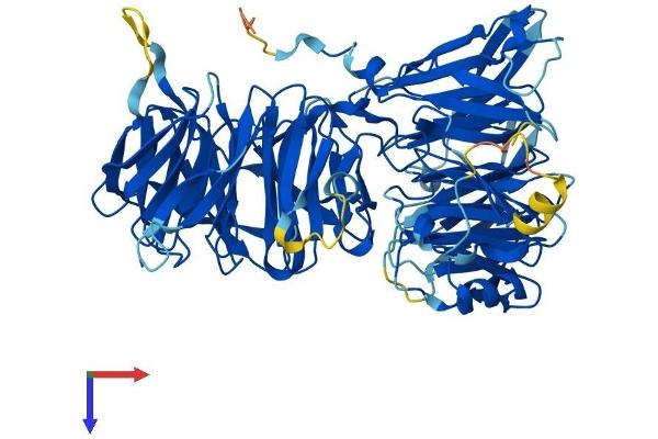 CIRH1A Protein (AA 1-686) (His tag)