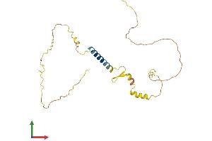 AlphaFold protein structure predicition of Mouse Recombinant Caly Protein, UniprotID Q9DCA7
