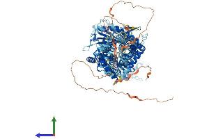 Protein Structure (PS) image for Patched 2 (PTCH2) (AA 1-1182) protein (His tag) (ABIN7562337)
