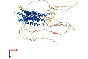 GPR153 Protein (AA 1-631) (His tag)