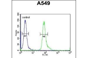 C Antibody (Center) (ABIN654949 and ABIN2844590) flow cytometric analysis of A549 cells (right histogram) compared to a negative control cell (left histogram). (FAM46D Antikörper  (AA 210-239))