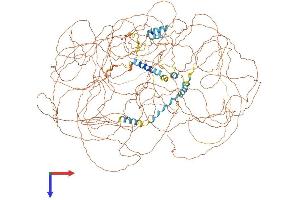 SETBP1 Protein (AA 1-1596) (His tag)