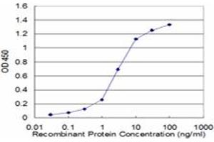 Detection limit for recombinant GST tagged PPP2R2C is approximately 0. (PPP2R2C Antikörper  (AA 1-110))