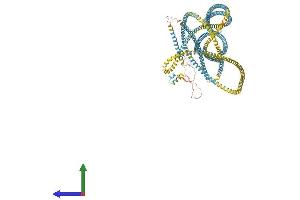 AlphaFold protein structure predicition of Human Recombinant EEA1 Protein, UniprotID Q15075