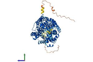 Protein Structure (PS) image for Solute Carrier Family 6 (Neurotransmitter Transporter, GABA), Member 11 (SLC6A11) (AA 1-627) protein (His tag) (ABIN7563121)