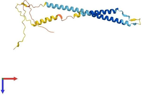 Neurensin 1 Protein (NRSN1) (AA 1-195) (His tag)