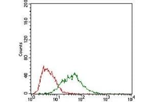 Flow cytometric analysis of PANC-1 cells using B3GALT4 mouse mAb (green) and negative control (red).