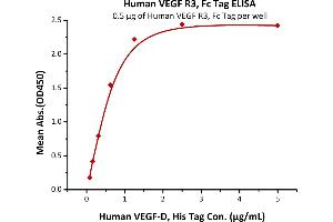 ELISA image for Fms-Related Tyrosine Kinase 4 (FLT4) (AA 25-776) (Active) protein (Fc Tag) (ABIN5526635)