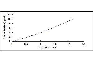 Typical standard curve (BTK ELISA Kit)