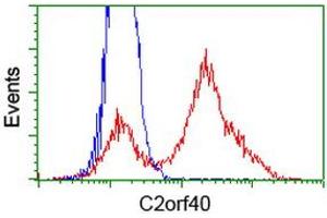 HEK293T cells transfected with either RC206239 overexpress plasmid (Red) or empty vector control plasmid (Blue) were immunostained by anti-C2orf40 antibody (ABIN2454466), and then analyzed by flow cytometry. (C2orf40 Antikörper)
