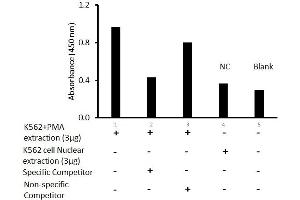 Activity Assay (AcA) image for Jun B Proto-Oncogene (JUNB) ELISA Kit (ABIN5526728)